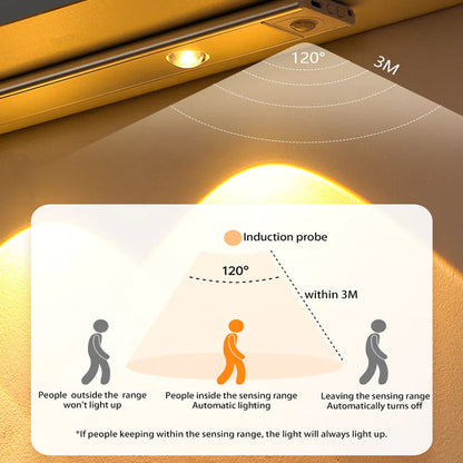 Luminare - Motion Sensor Light